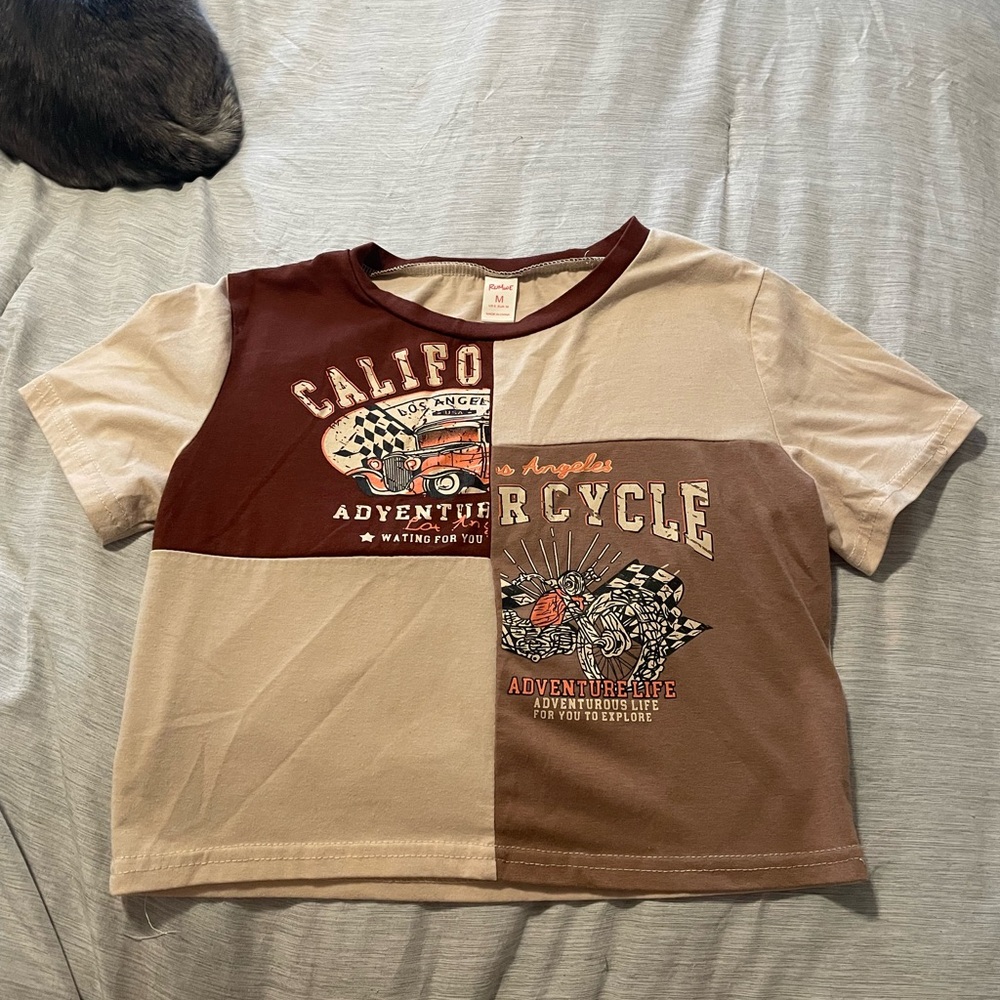 Colorblock Motorcycle Graphic Tee - Brown/Tan/Cream